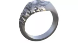DRG RING 3D PRINTED MODEL