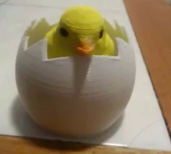 Egg Flat