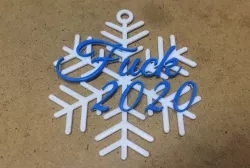Fuck 2020 Snowflake