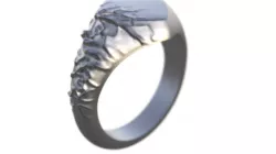 GEORGI RING 3D PRINTED MODEL