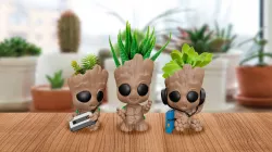 Groot Pot