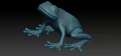 Happy Frog