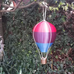 Hot air balloon