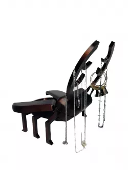 Jewelry box stag beetle