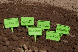 Labels for vegetables