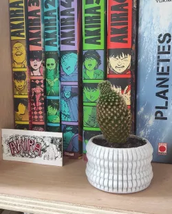 Lil' one - Little cactus pot