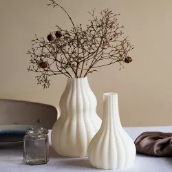 Meringue Collection