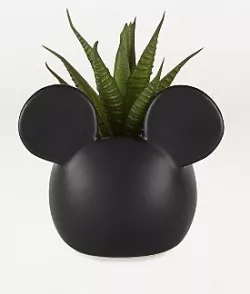Mickey mouse pot