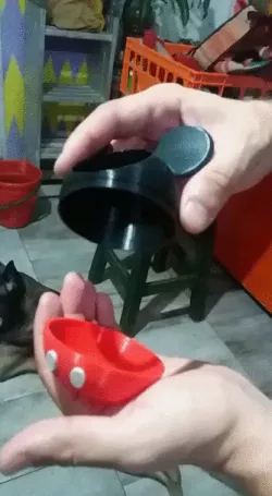 Mickey Mouse Pot