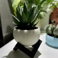 Minimal modern planter sphere with support