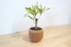Minimal Planter - Zigzag Style