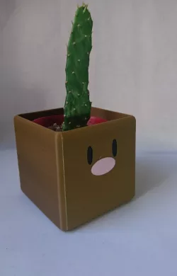 Pokemon Diglett Square Pot