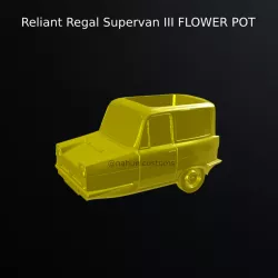 Reliant Regal Supervan III FLOWER POT