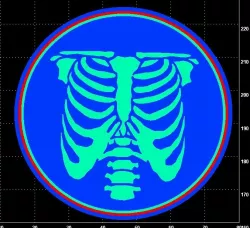 Rib cage skeleton cookie cutter