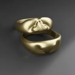 Ring cat nose