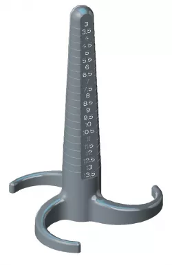 Ring sizer