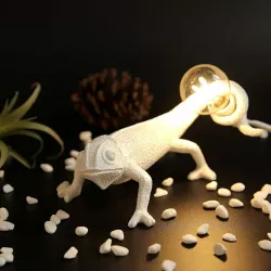 Seletti Chameleon Lamp