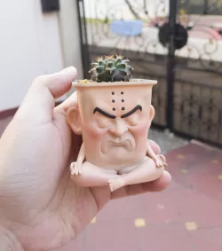 Serious Meditating Pot