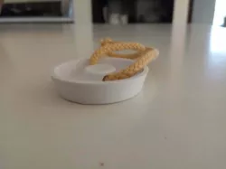 Sink Plug
