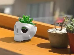 Skull Pot