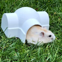 Skywalker Hamster House