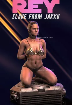 Slave Rey Skywalker