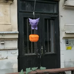 Social Distancing Halloween Candy Delivery
