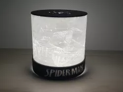 SPIDER-MAN LAMP