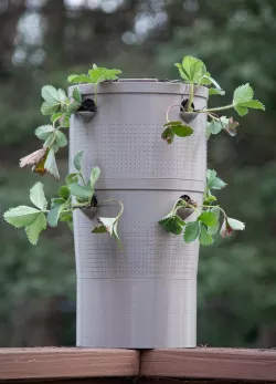 Super Self Watering Pot