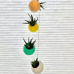 Suspended Spherical Succulent Splanters (Planters)
