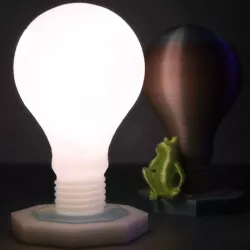 The Light Bulb Lamp