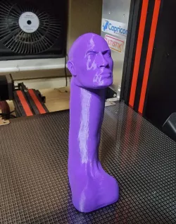 The Rock on a Cock
