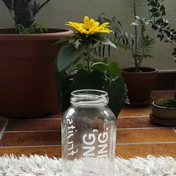 True fruits Piggy bank