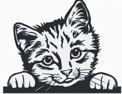 Wall art - cat