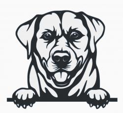 Labrakita Drawing art for kids hub how to draw labrador retriver 3D Models | Page 1 ...