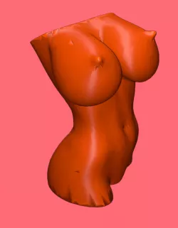 woman bust