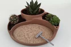 Zen Garden / Jardin Zen