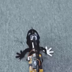 ARDUINO ROBOTIC LIZARD DIY