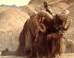 Bantha