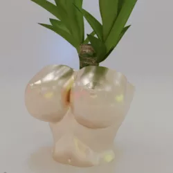 Boob Flower Pot Planter Box