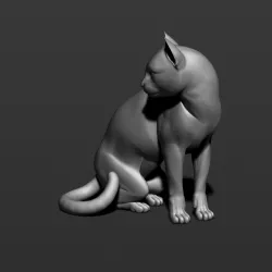 Cat pensive