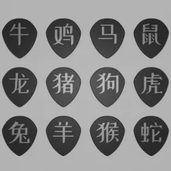 Chinese Zodiac Animals 1 mm Fat Jazz Picks Collection