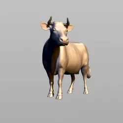 cow