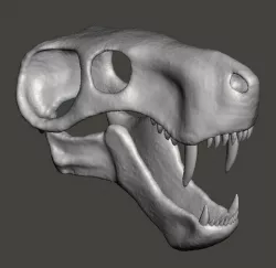 Dinosaur skull, Inostrancevia cranium and jaw