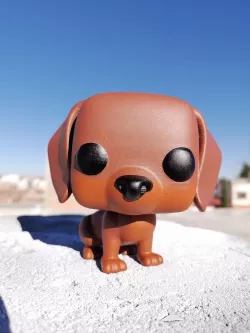 DOG FOP