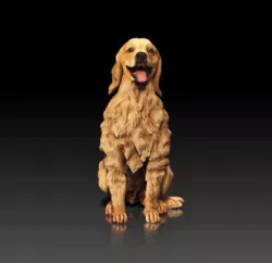Golden Retriever - DOG BREED - CANINE -3D PRINT MODEL