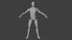 Human Body V2 modular