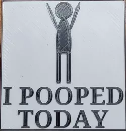 I pooped today