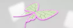 Kanao Kocho's hairpin