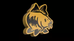 Lamp Carp